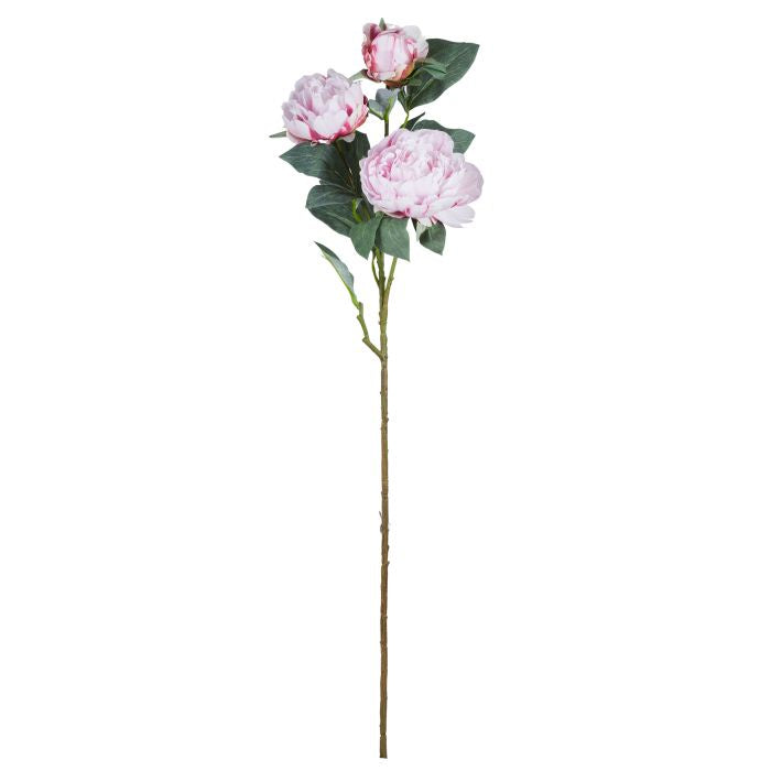 Rogue Peony Stem UV Light Pink