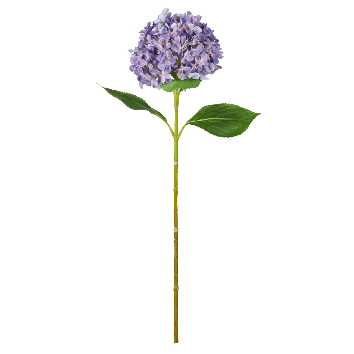 Rogue Hydrangea Stem Purple