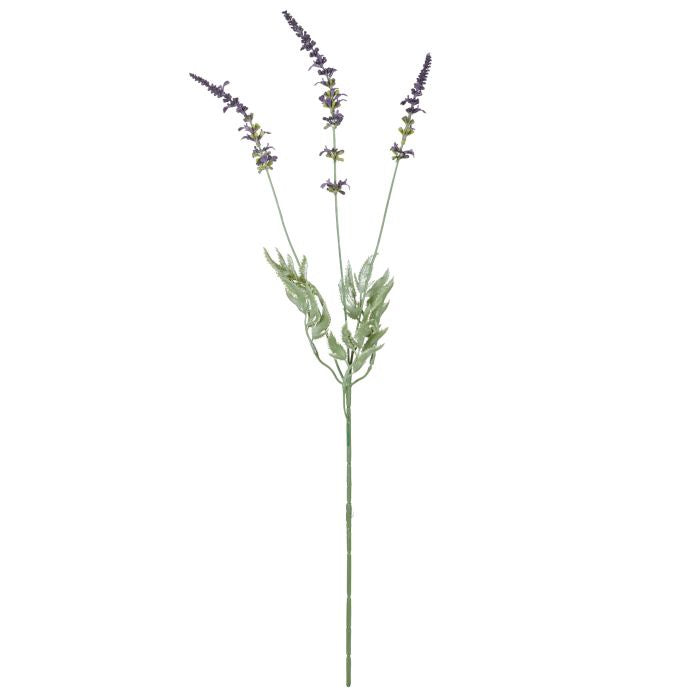 Rogue Lavender Spray