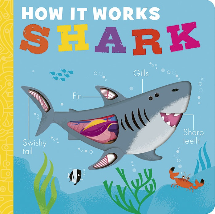 How It Works Shark - Molly Littleboy