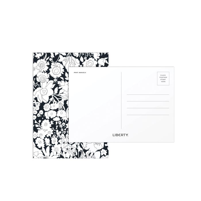 Galison Liberty Paint-In Print Set