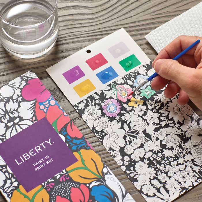 Galison Liberty Paint-In Print Set