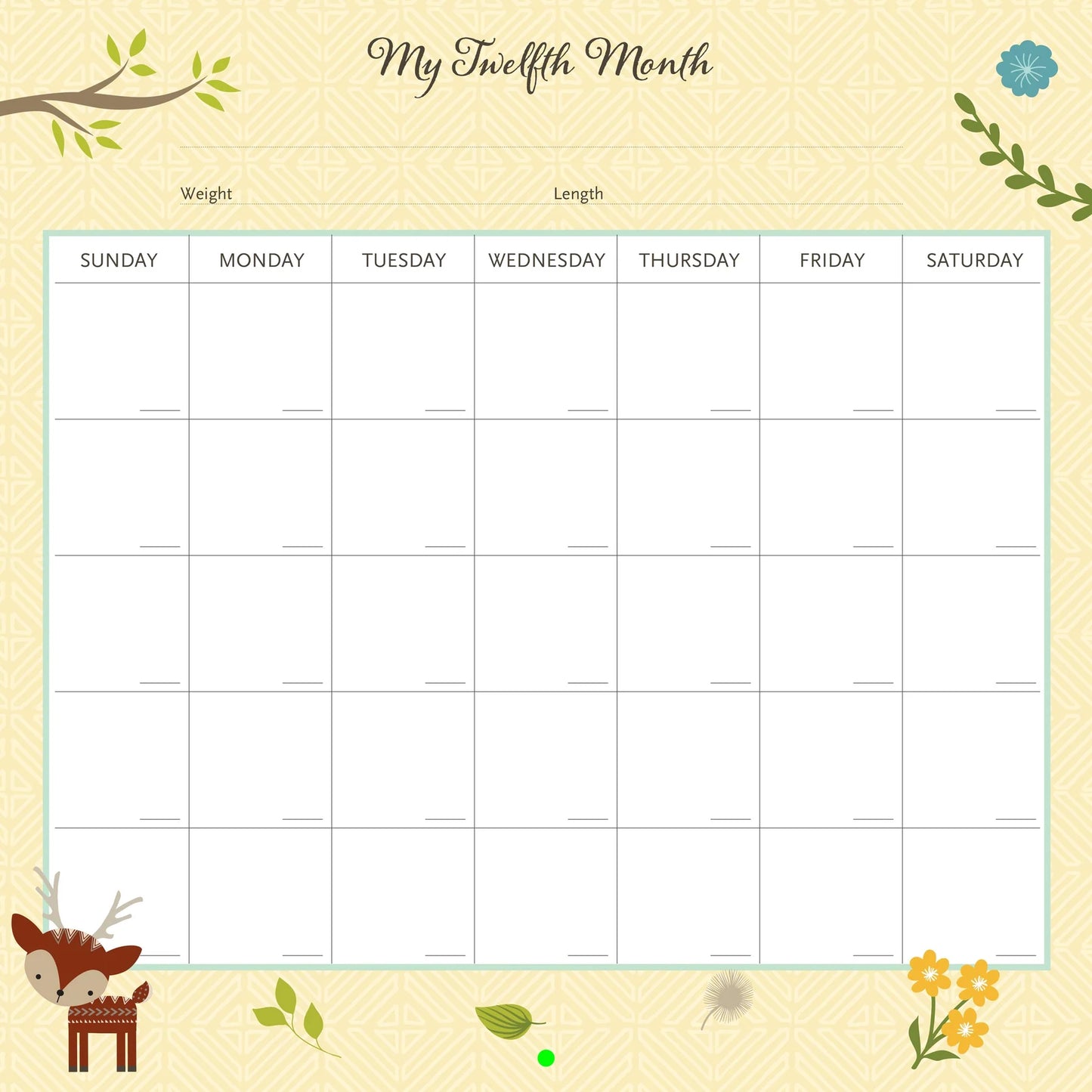 Peter Pauper My Life As A Baby First-Year Calendar (Woodland)