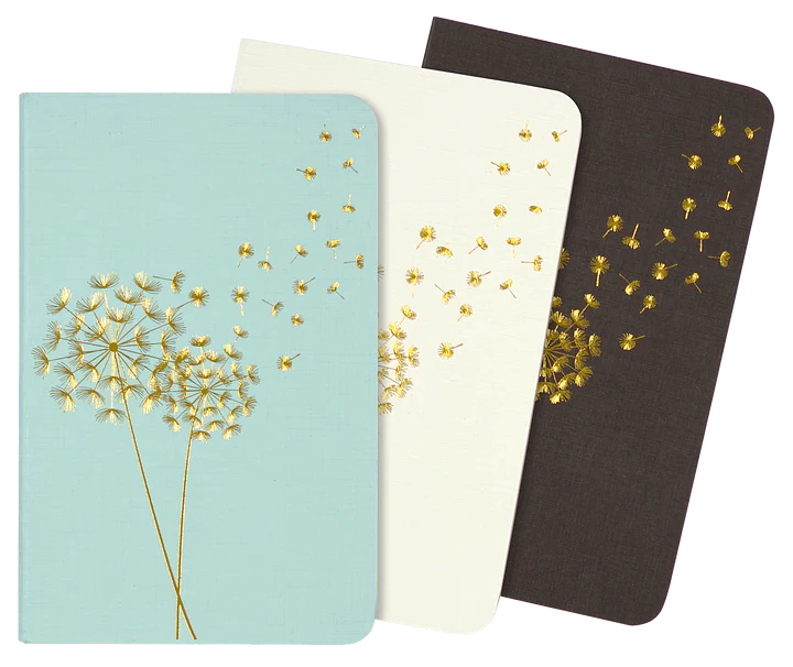 Peter Pauper Set/3 Jotter Notebooks