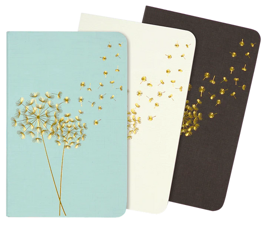 Peter Pauper Set/3 Jotter Notebooks