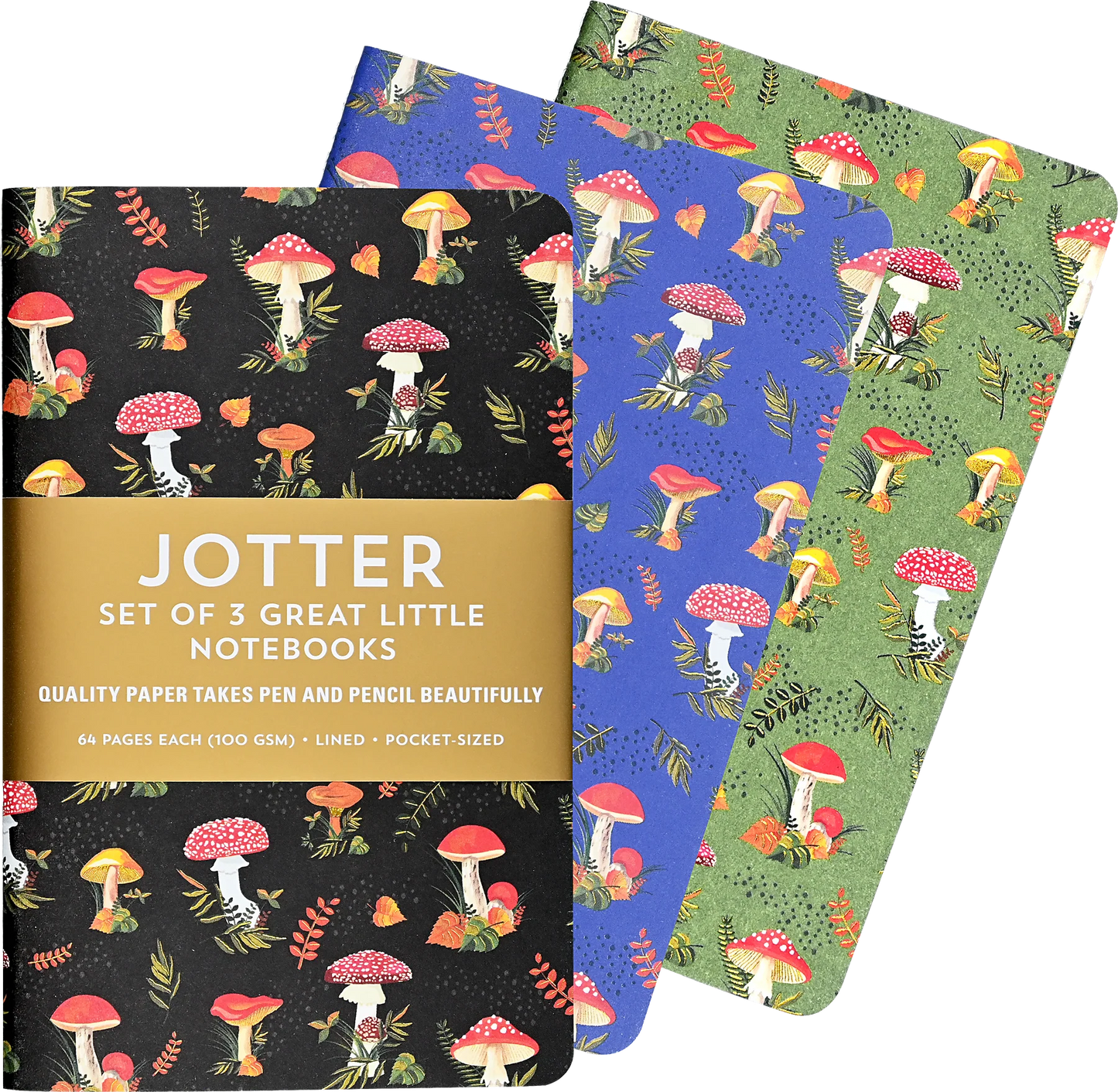 Peter Pauper Set/3 Jotter Notebooks