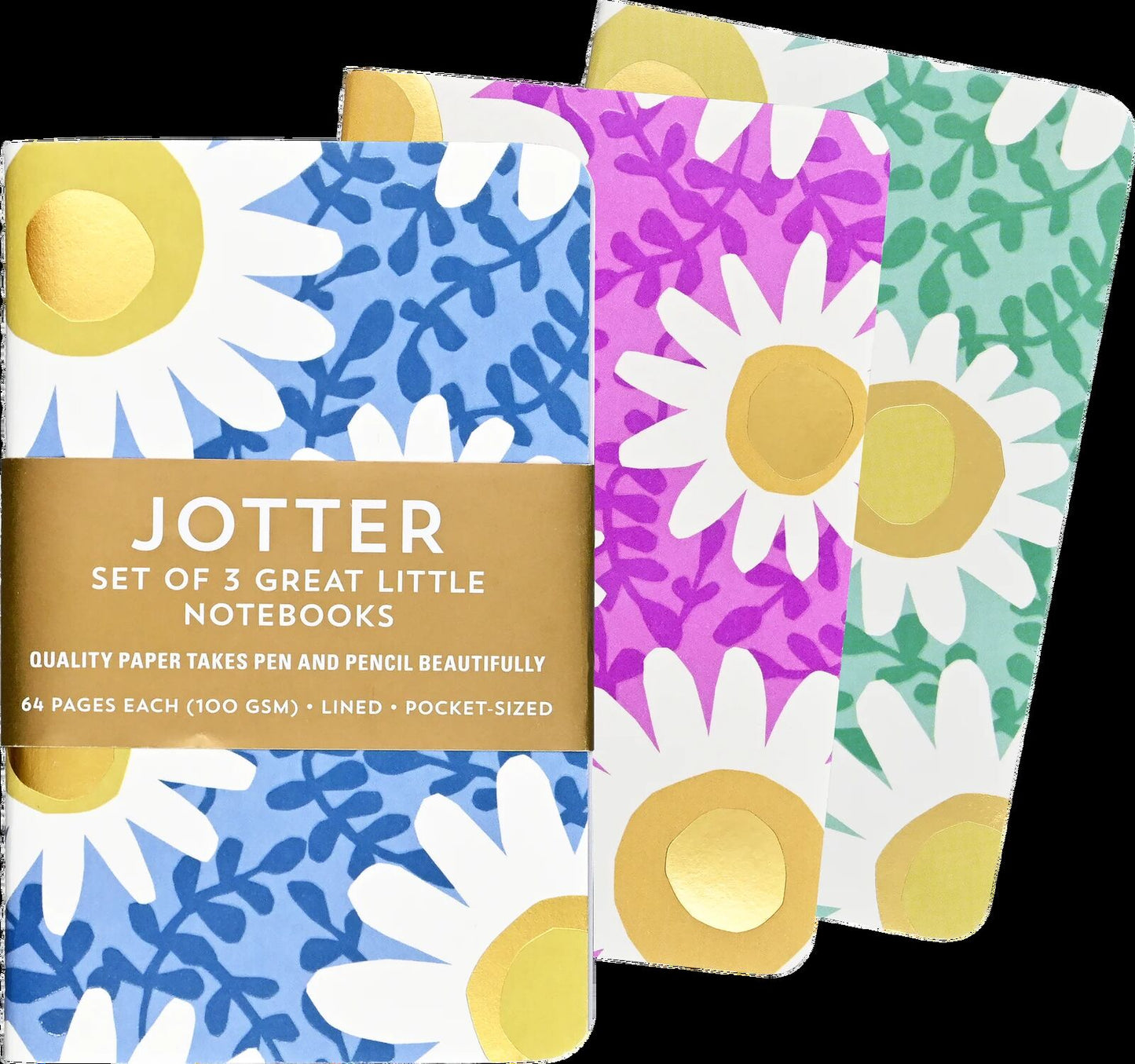 Peter Pauper Set/3 Jotter Notebooks