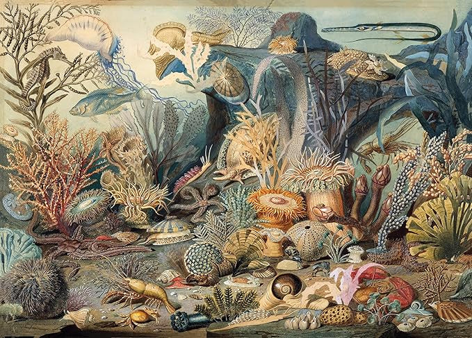 Peter Pauper 1000pc Puzzle - Ocean Life