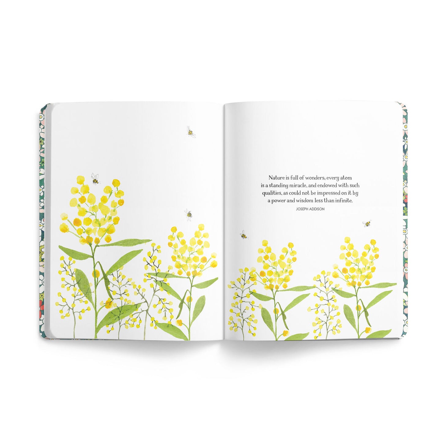 Affirmations Striped Bee Journal