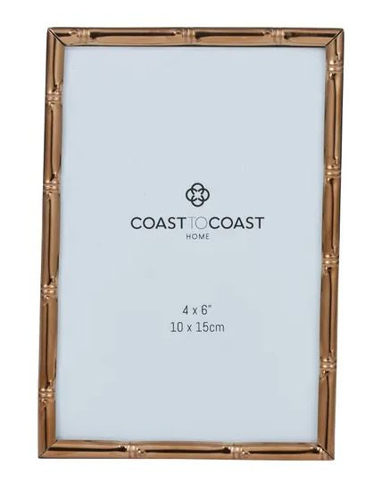 Coast to Coast Apate Metal 4 x 6" Frame