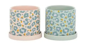 Life Botanic Lina Ceramic Pot/Saucer