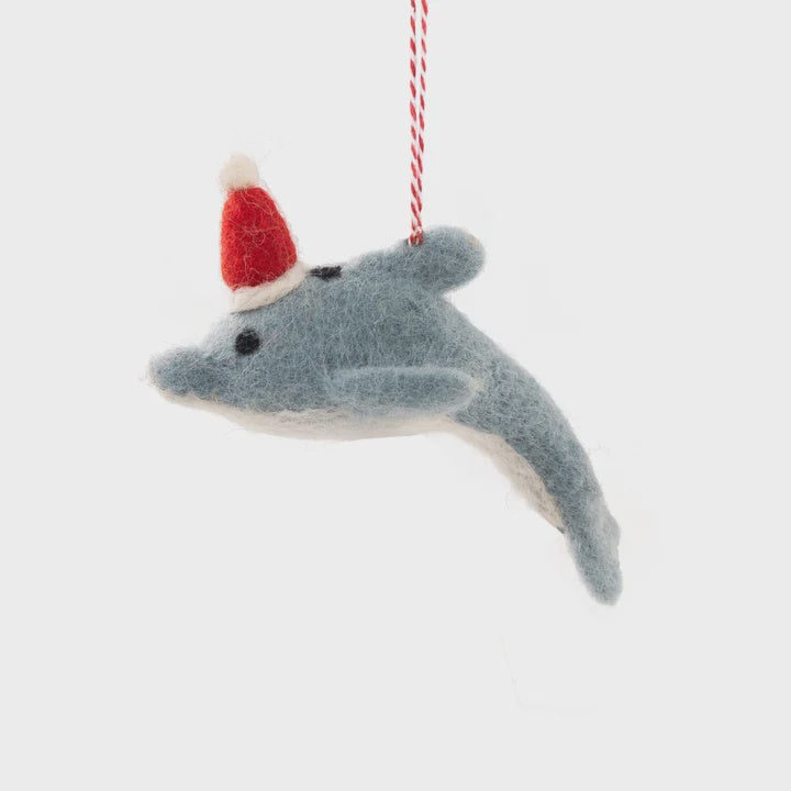 Vevoke Dolphin Dani