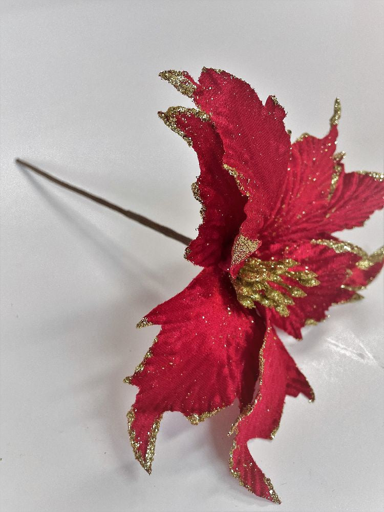 Gala Red Poinsettia With Gold Glitter 27 X 30 CM