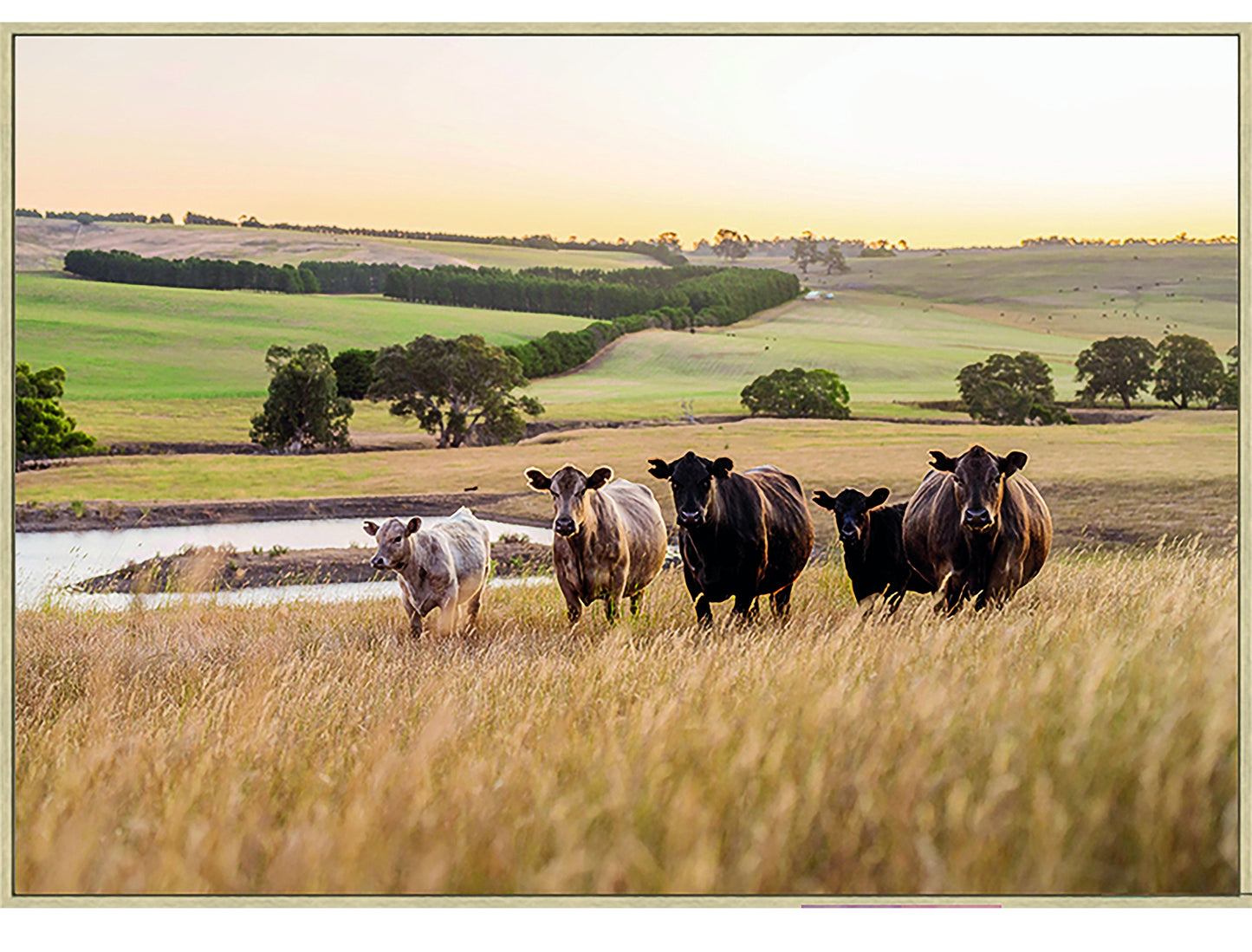 NF Living Mooving View Print 103x73cm