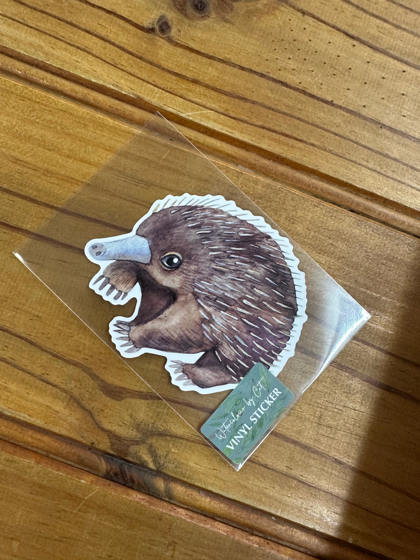 Watercolour By Cat Vinyl Sticker
