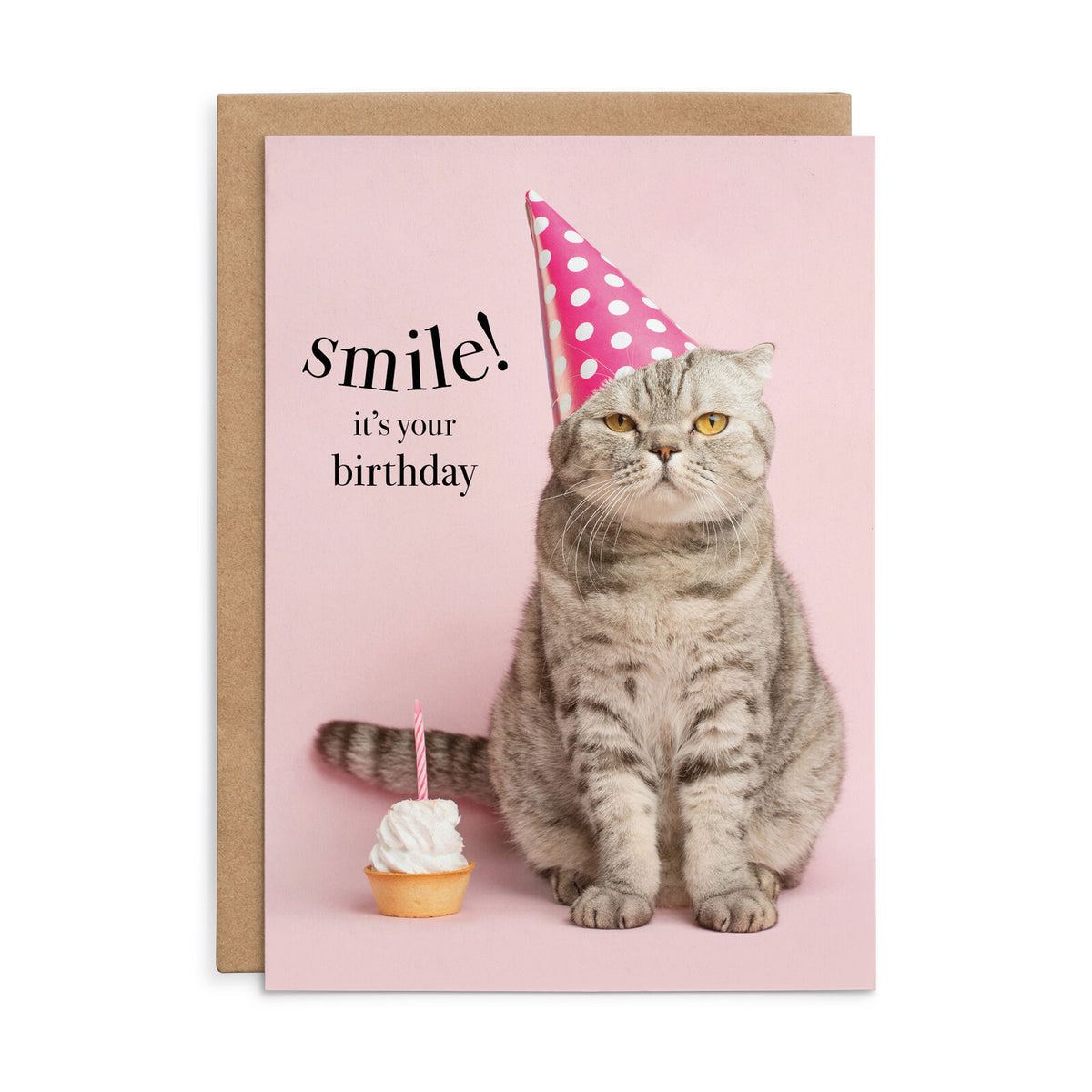 Affirmations Animal Series Cards