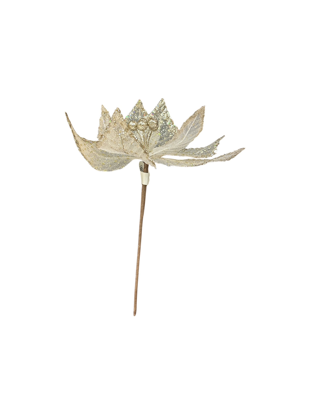 Gala Delicate Poinsettia - Gold
