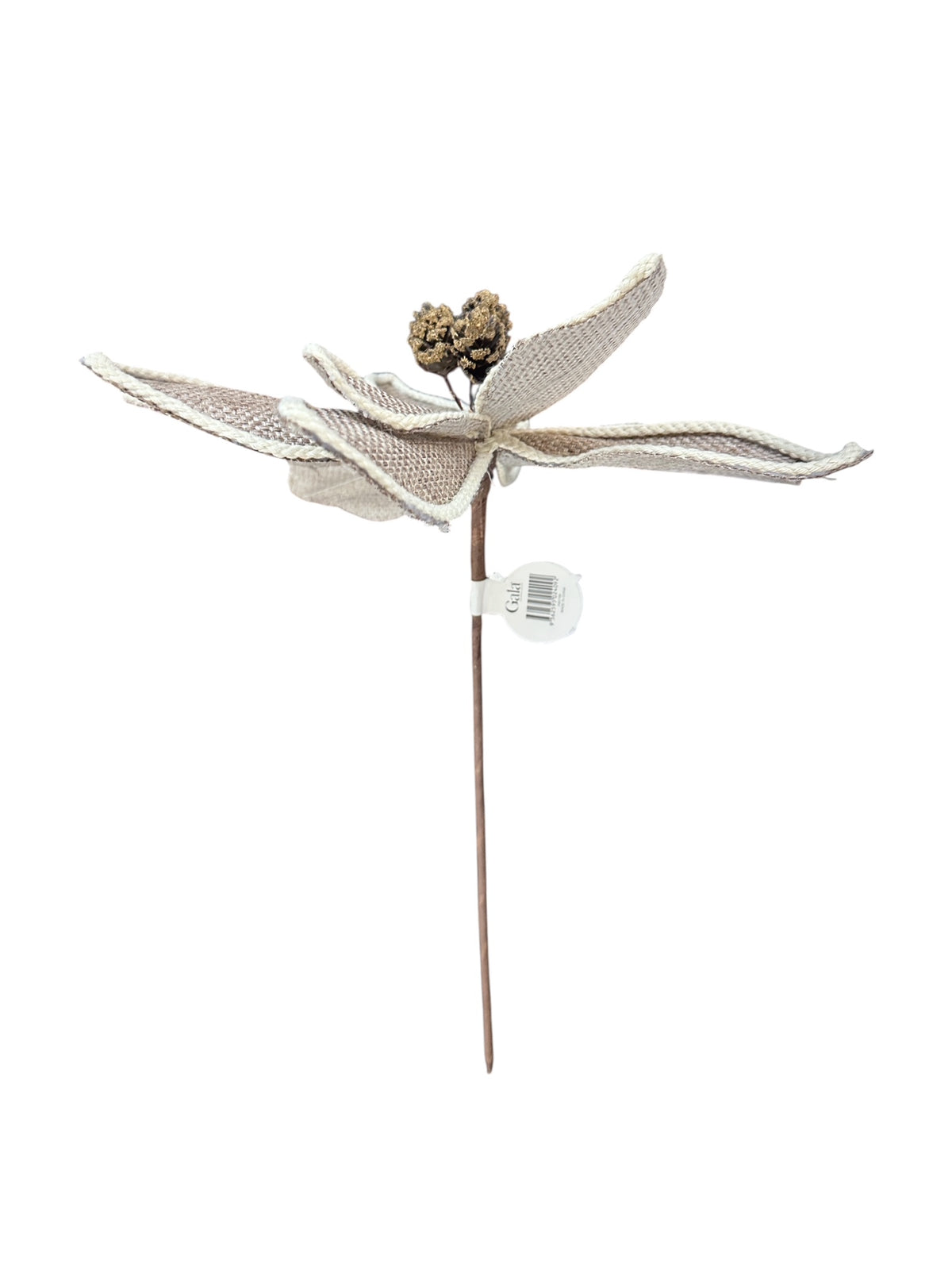 Gala Poinsettia w/ Trim - Natural