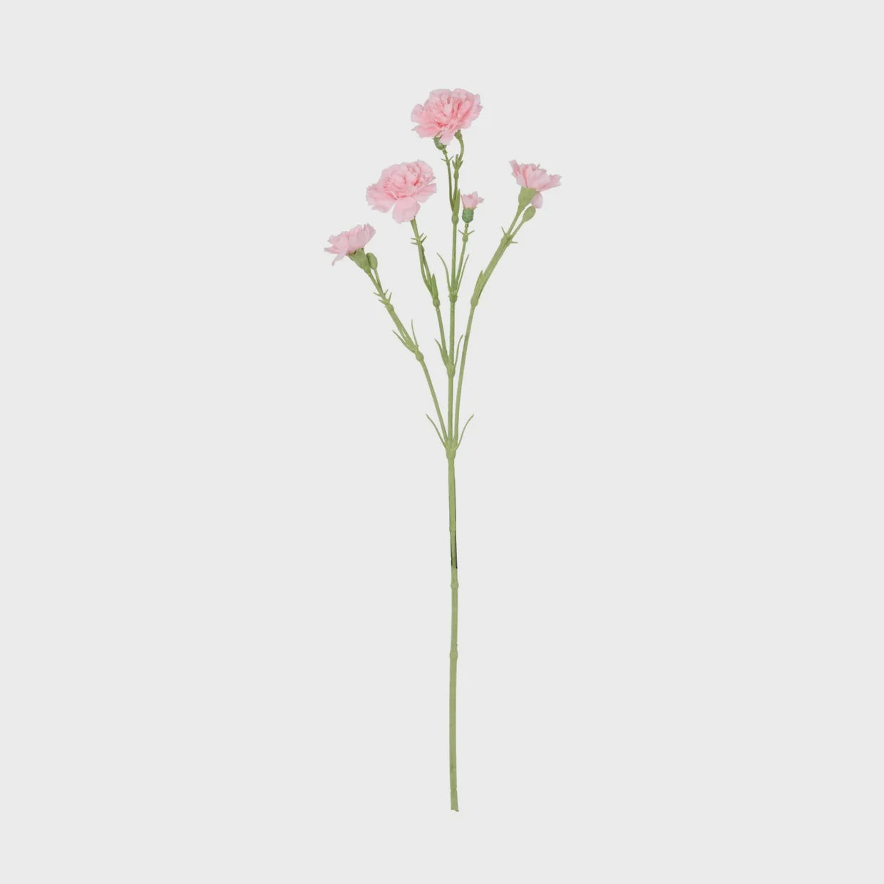 Rogue Carnation Spray - Light Pink