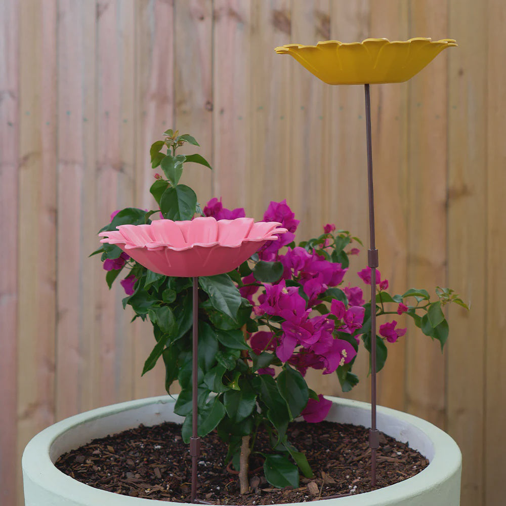 Annabel Trends Sunflower Birdbath
