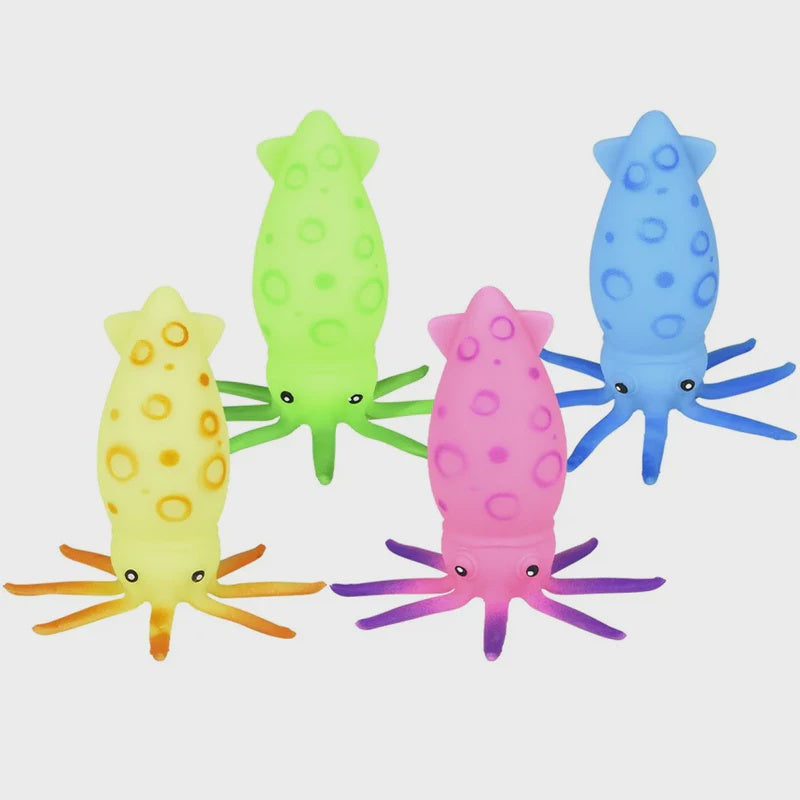 Discovery Zone Stretchy Squid