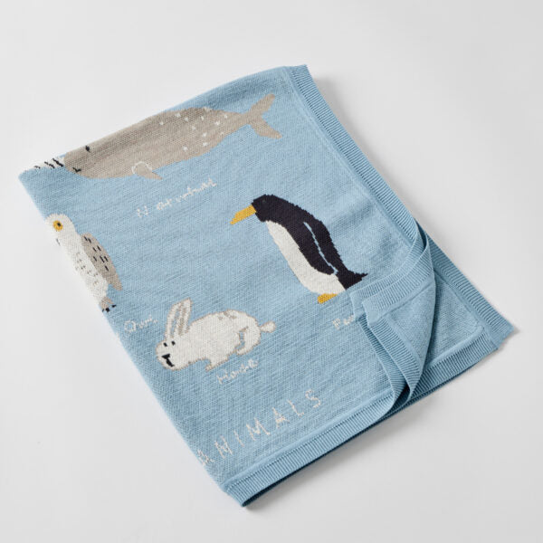 Jiggle & Giggle Aurora Baby Blanket
