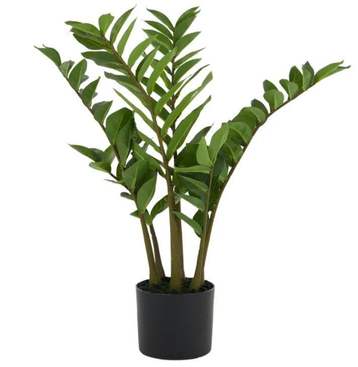Life Botanic Zamiifolia Real Touch Plant 75cm With Pot 15 x 13cm