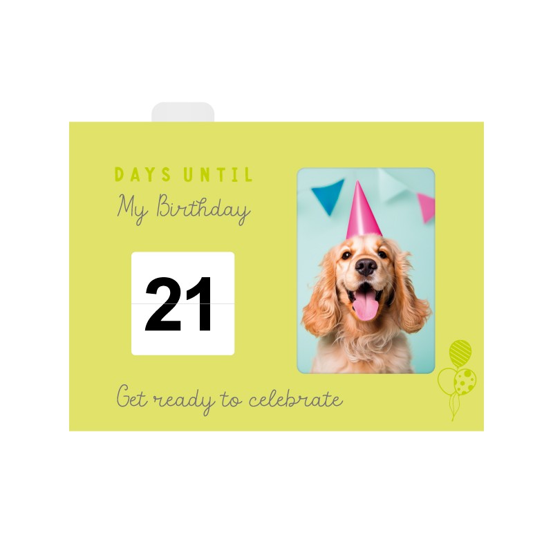 Artique The Countdown Box Large 5 Titles