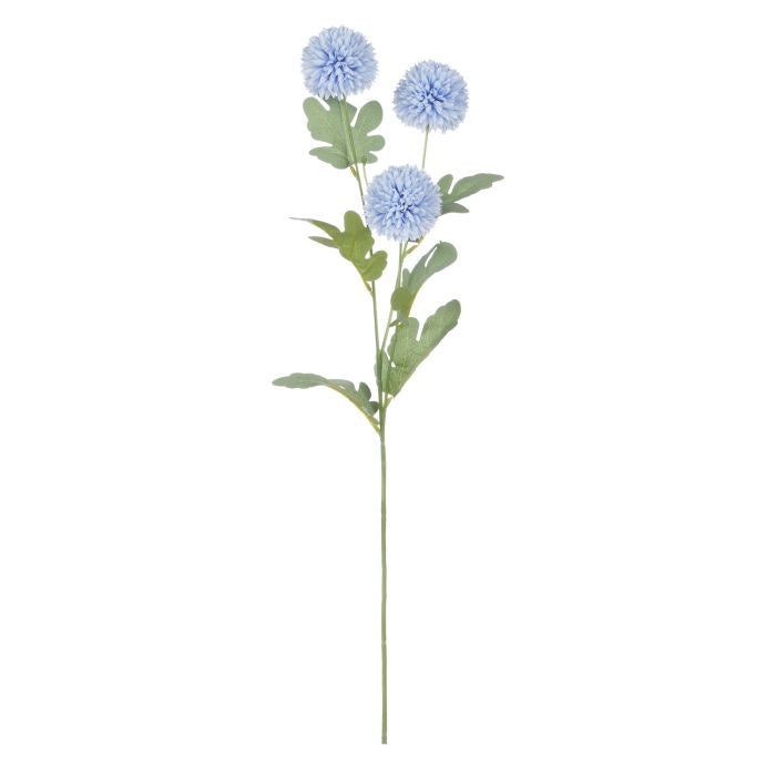 Rogue Kiku Spray Blue