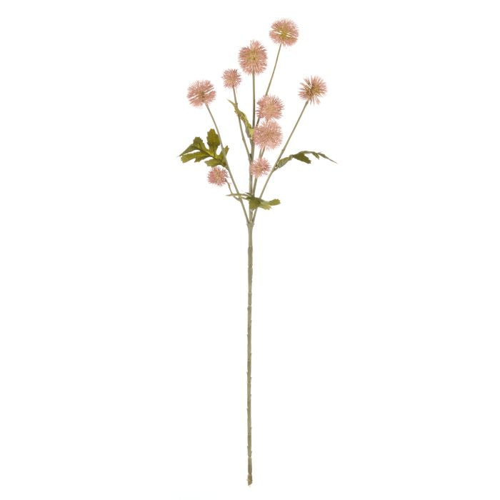 Rogue Pompom Spray - Mauve