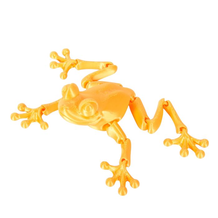 Discovery Zone 3D Sensory Frog