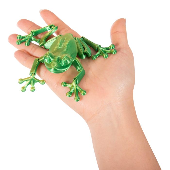 Discovery Zone 3D Sensory Frog