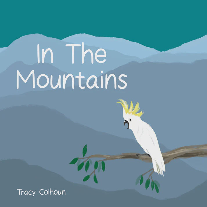 In The Mountains Board Book - Tracy Colhoun