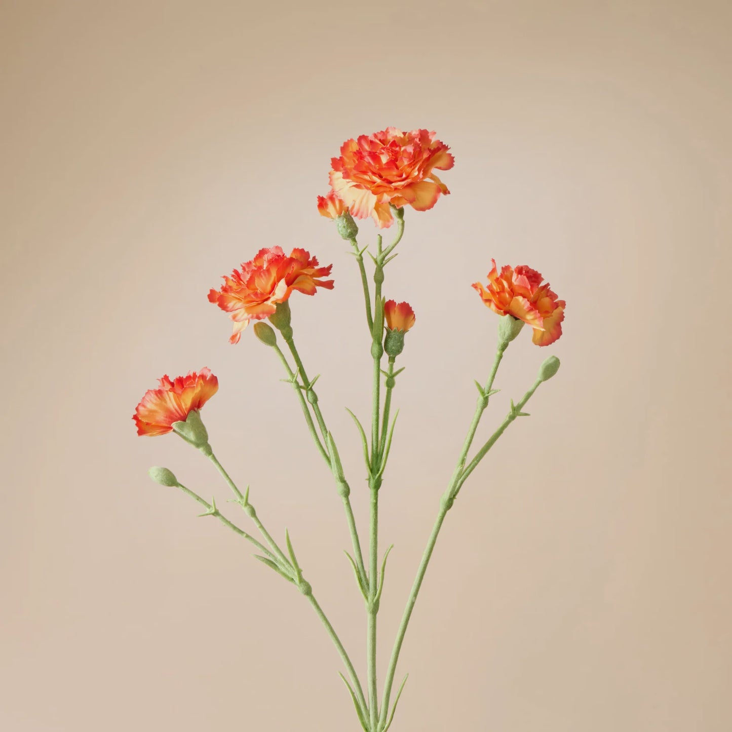 Rogue Carnation Spray - Orange