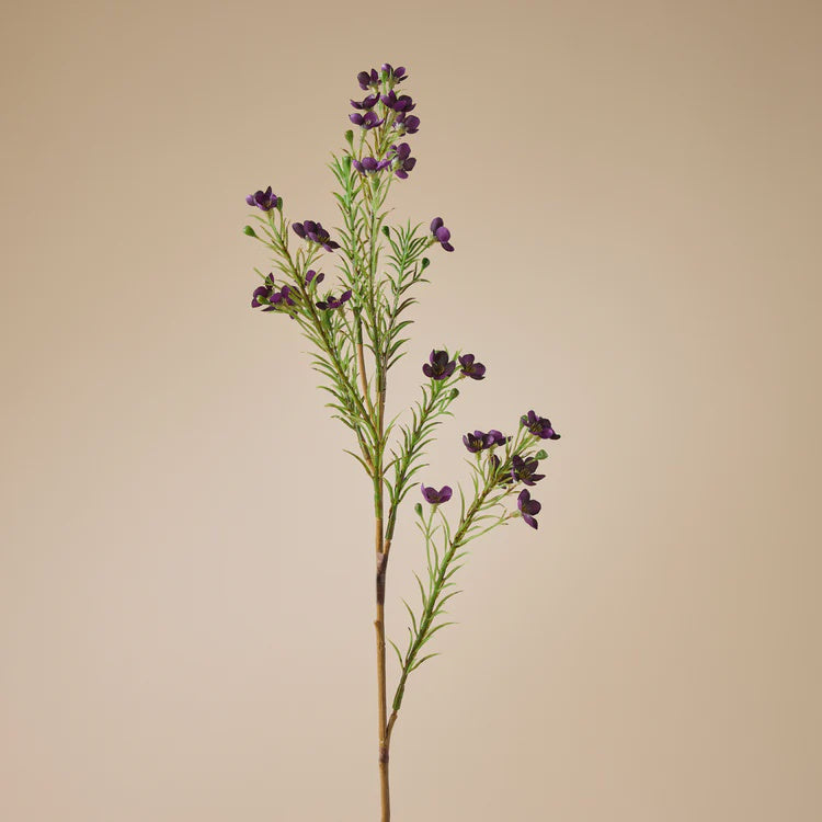 Rogue Wax Flower Spray