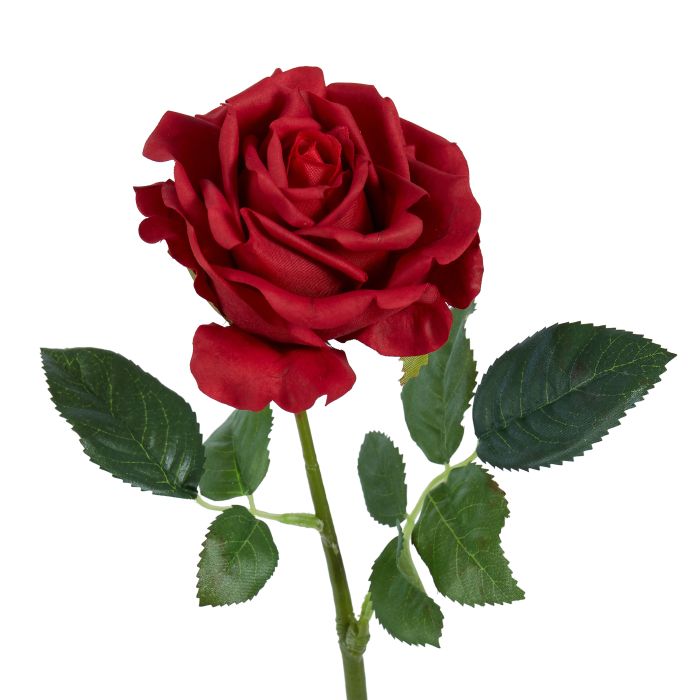 Rogue Candice Rose - Red