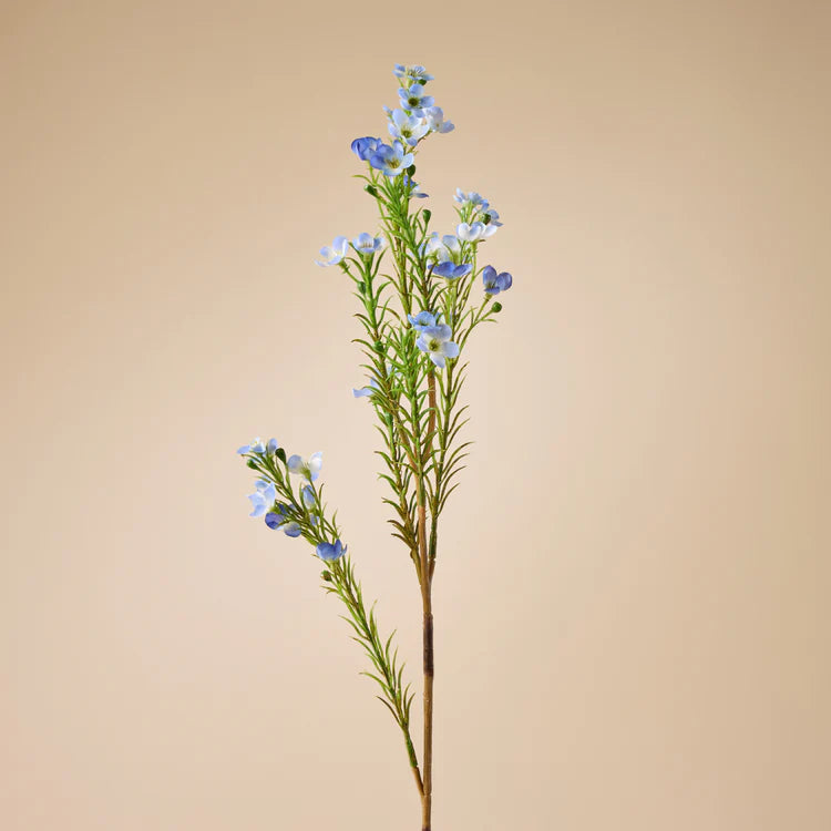 Rogue Wax Flower Spray