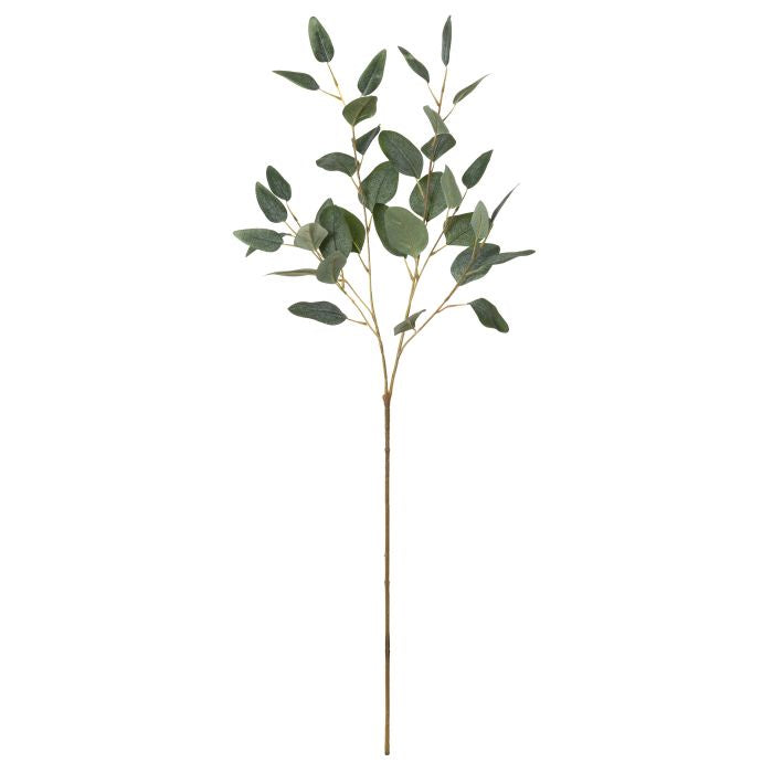 Rogue Eucalyptus Spray 30x15x90cm Grey/Green