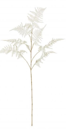 Rogue Fern Spray - Soft Green