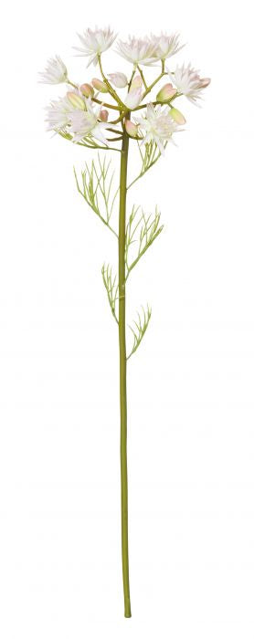 Rogue Bridal Blush Stem Soft Pink 50cm