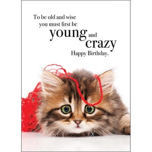 Affirmations Animal Series Cards