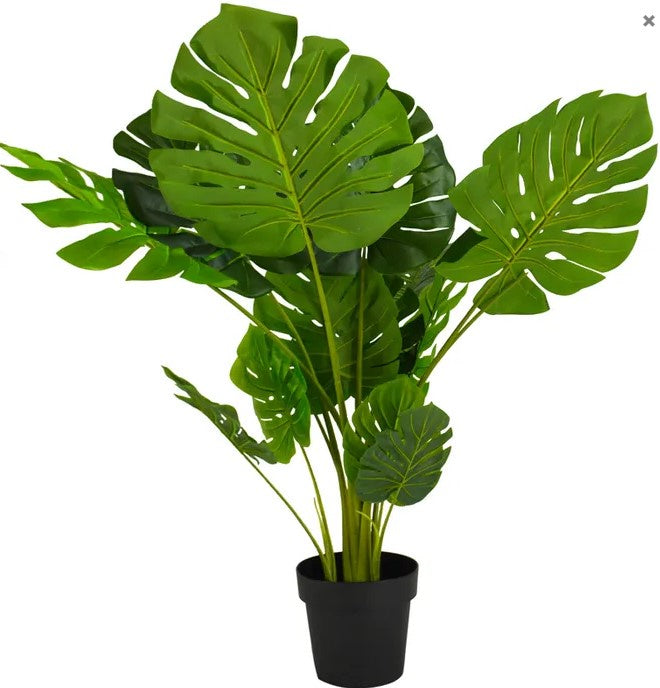 Life Botanic Monsteria 110CM