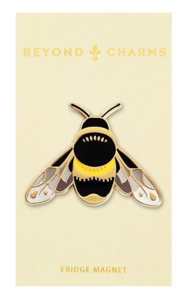 Beyond Charms Fridge Magnets
