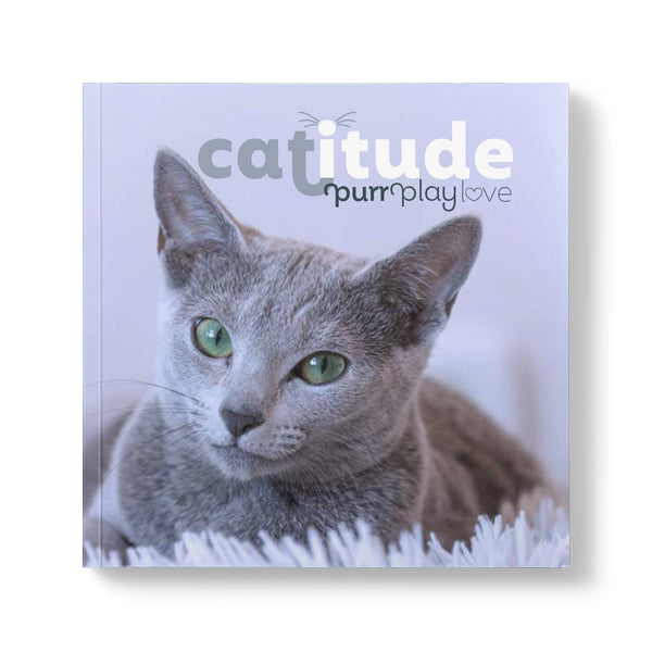 Affirmation Animal Book