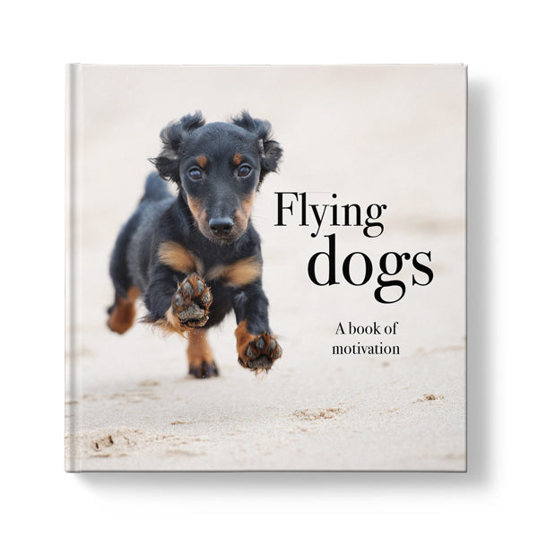 Affirmation Animal Book