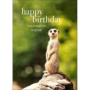 Affirmations Animal Series Cards