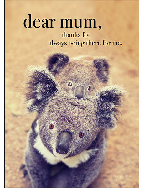 Affirmations Animal Series Cards