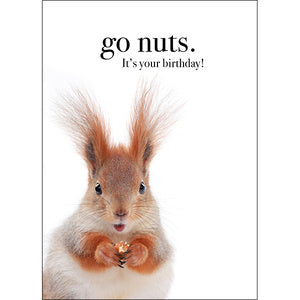 Affirmations Animal Series Cards