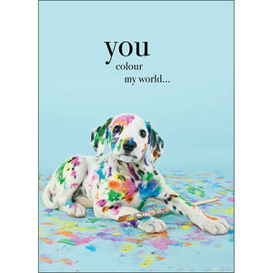 Affirmations Animal Series Cards