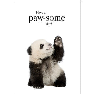 Affirmations Animal Series Cards